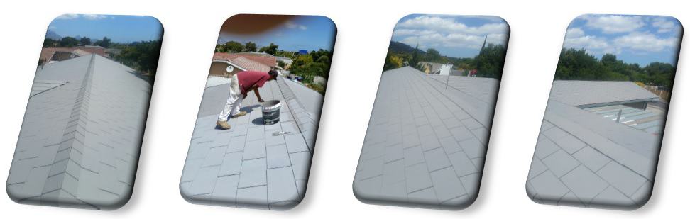 Roof Painting - after