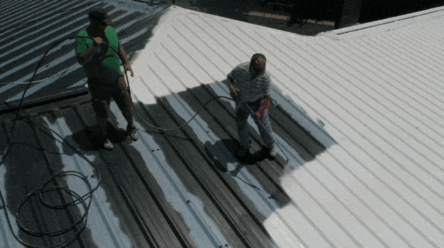 roof painting tips